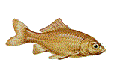 EMOTICON poissons 36