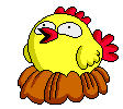 EMOTICON poules 12