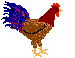 Gifs Animés poules 35