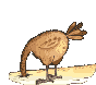 Gifs Animés poulle oeuf 40