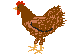 EMOTICON poulle oeuf 68