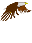 Gifs Animés rapaces 104