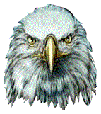 Gifs Animés rapaces 110