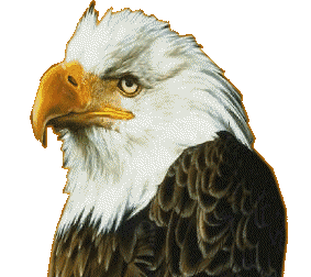EMOTICON rapaces 130