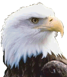 Gifs Animés rapaces 131