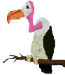 Gifs Animés rapaces 54