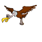 Gifs Animés rapaces 95