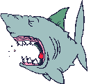 Gifs Animés requins 51
