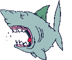 Gifs Animés requins 51