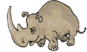Gifs Animés rhinoceros 3