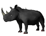 Gifs Animés rhinoceros 7