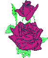 Gifs Animés rose 101
