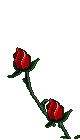 Gifs Animés rose 118