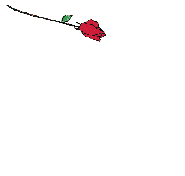 Gifs Animés rose 136