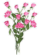Gifs Animés rose 179