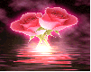 Gifs Animés rose 68