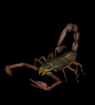 Gifs Animés scorpions 7