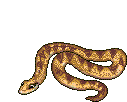 Gifs Animés serpents 35