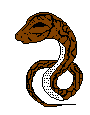 Gifs Animés serpents 40