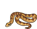 Gifs Animés serpents 66