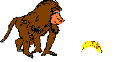 Gifs Animés singes 170