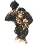 Gifs Animés singes 62
