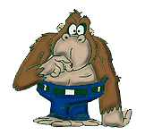 Gifs Animés singes 72
