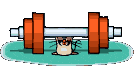 Gifs Animés souris 72