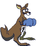 Gifs Animés sport d'animaux 80