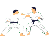 Gifs Animés sport mixte 55
