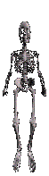Gifs Animés squelette 1