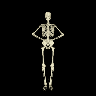 Gifs Animés squelette 19