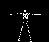 Gifs Animés squelette 42