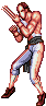 Gifs Animés street fighter 13