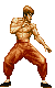 Gifs Animés street fighter 14