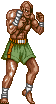 Gifs Animés street fighter 17