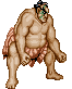 Gifs Animés street fighter 2