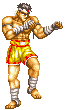 Gifs Animés street fighter 3