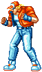 Gifs Animés street fighter 4