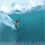Gifs Animés surfing 3