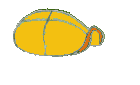 Gifs Animés tortues 23