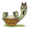 Gifs Animés tortues 30