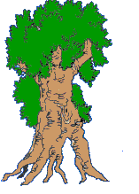 Gifs Animés tronc arbres 33