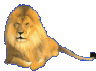 Gifs Animés tugres-lions 129