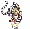 Gifs Animés tugres-lions 73