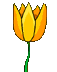 Gifs Animés tulipes 11