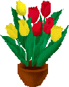 Gifs Animés tulipes 19
