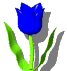 Gifs Animés tulipes 9