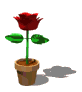 vase a fleurs 15
