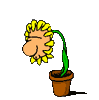 vase a fleurs 19